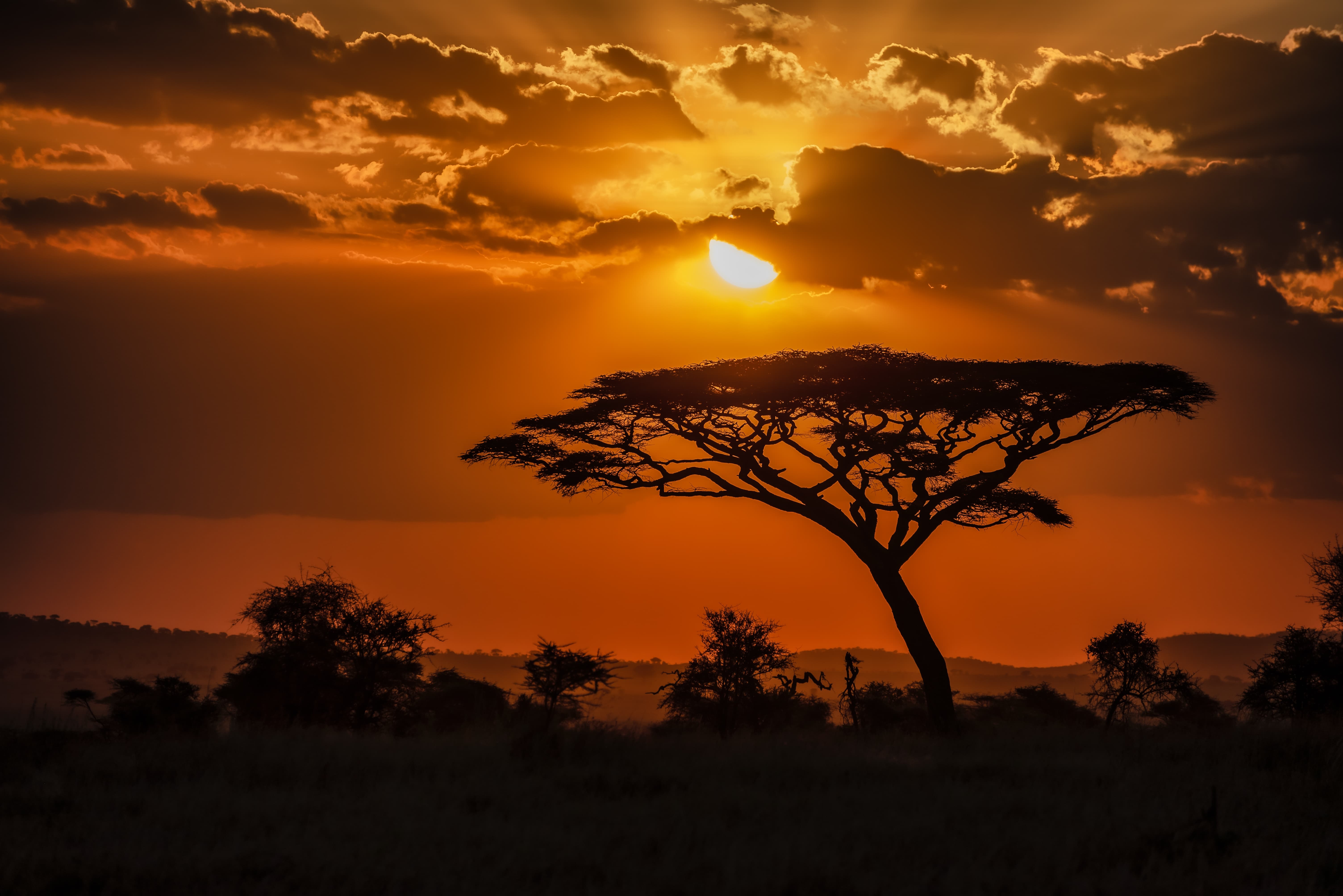 Uganda's wild landscape at golden hour.